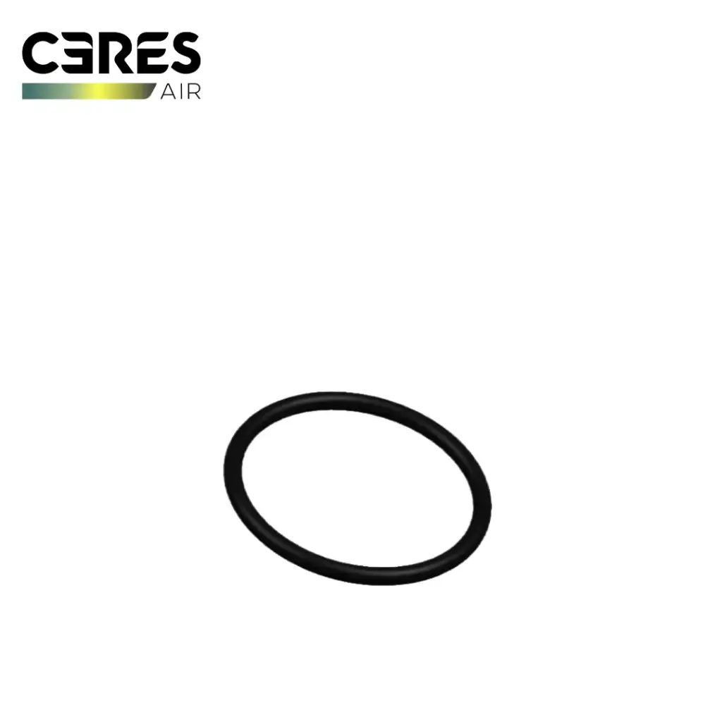 Ceres Sealing Ring Outer Diameter 53*3.1