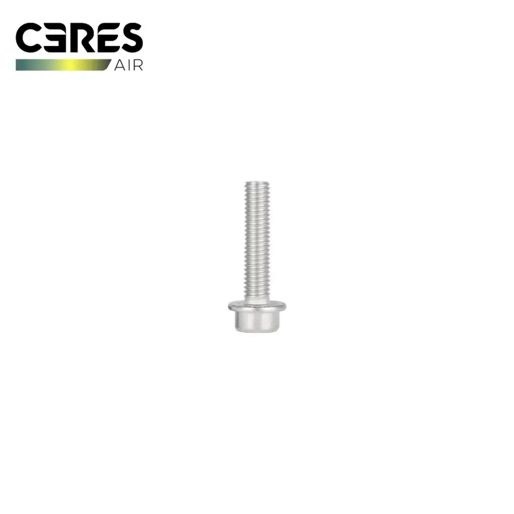 Ceres M4*25 Hexagon Socket Screw