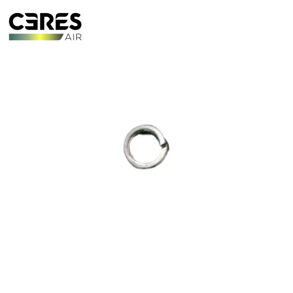 Ceres M6 Stainless Steel Spring Washer