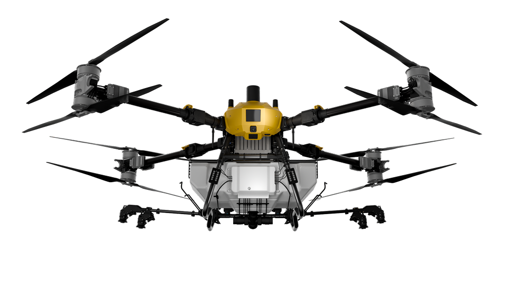C31 drone